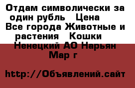 Отдам символически за один рубль › Цена ­ 1 - Все города Животные и растения » Кошки   . Ненецкий АО,Нарьян-Мар г.